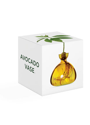 Ilex Sudio Avocado glazen kiempot - mellow yellow