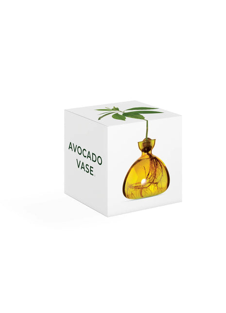 Ilex Sudio Avocado glazen kiempot - mellow yellow