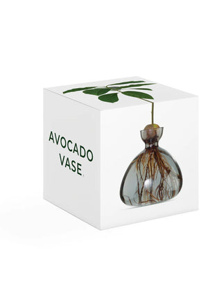 Ilex Sudio Avocado glazen kiempot - smoke grey