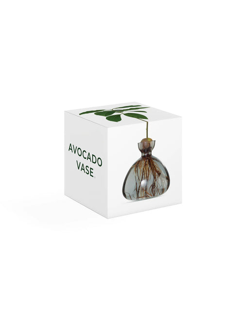 Ilex Sudio Avocado glazen kiempot - smoke grey