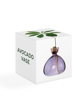 Ilex Sudio Avocado glazen kiempot - spring lila