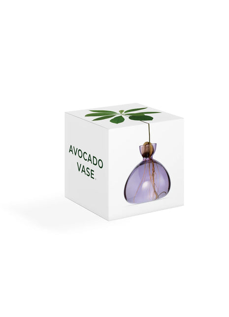 Ilex Sudio Avocado glazen kiempot - spring lila