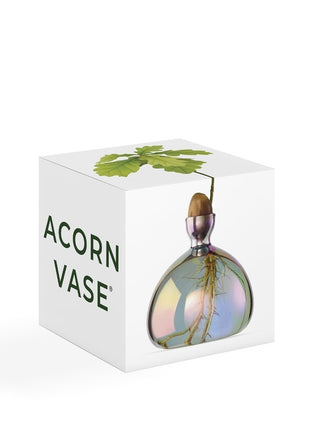 Ilex Sudio Acorn eikel glazen kiempot - cosmic vega