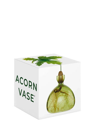 Ilex Sudio Acorn eikel glazen kiempot - gras groen