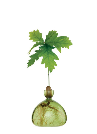 Ilex Sudio Acorn eikel glazen kiempot - gras groen