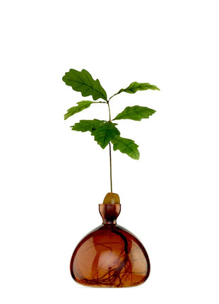 Ilex Sudio Acorn eikel glazen kiempot - russet brown