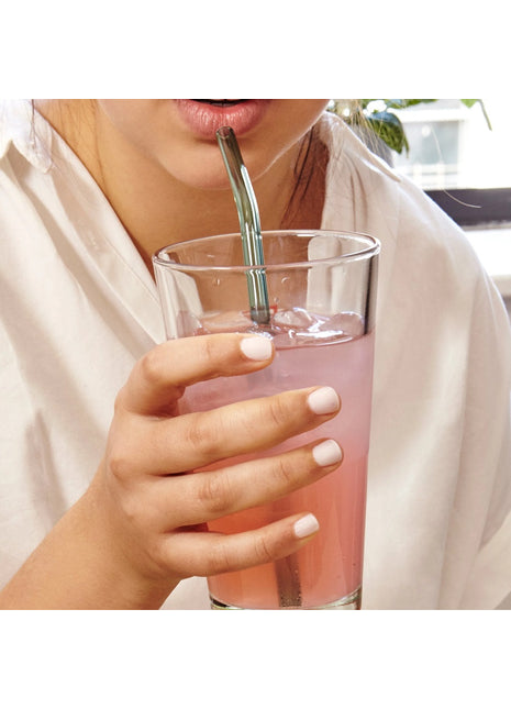 CU377 Kikkerland glazen herbruikbare gekleurde rietjes