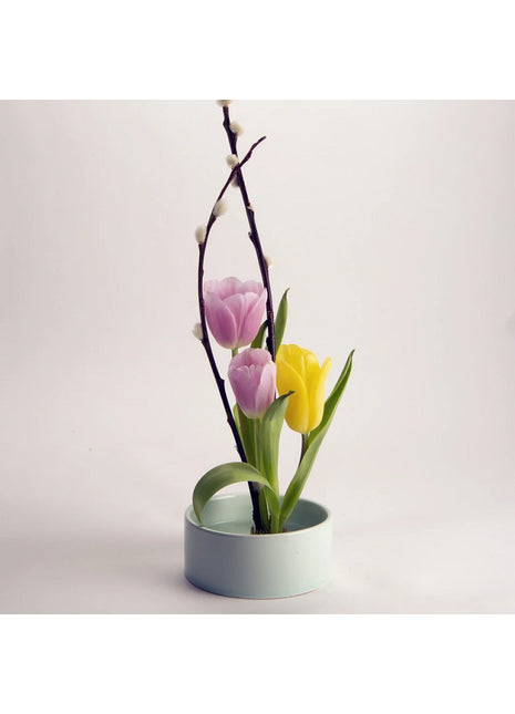 CD546 Kikkerland Mini Ikebana kit voor bloemen