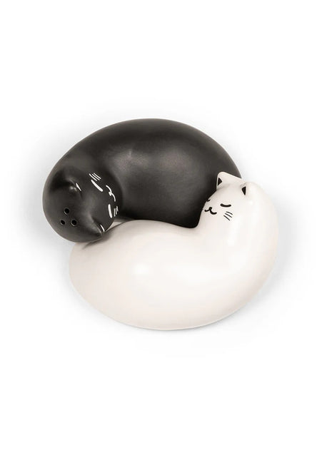 SP25 Kikkerland Purrfect kat peper en zout strooier