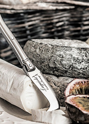 Laguiole Style de Vie Premium Kaasmessen RVS