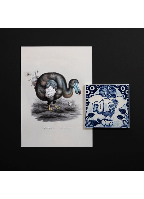 46413500 Moooi x Royal Delft - Tegel Extinct Animals Dodo Pavone