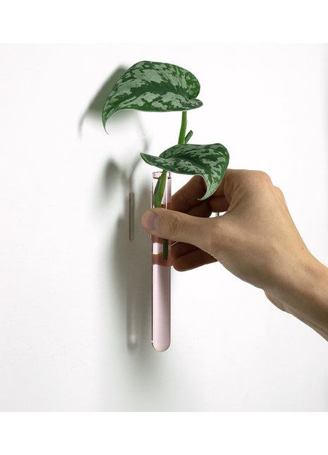 muurbloempjes muurvaasje reageerbuis magneet roze glas 6