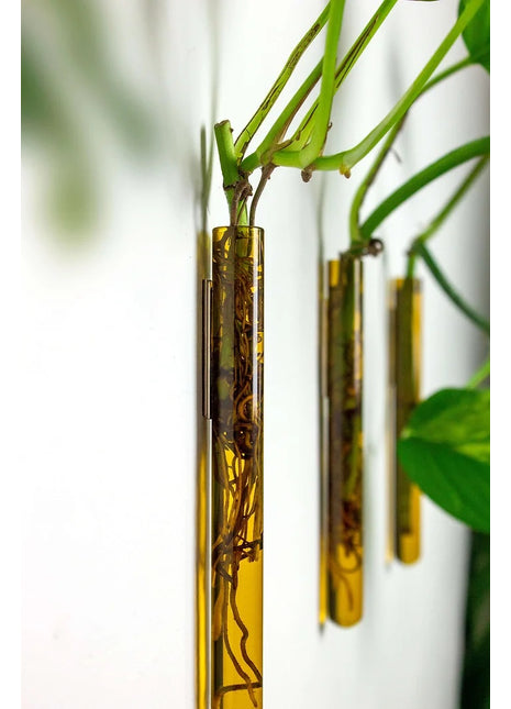 muurbloempjes muurvaasje magneet reageerbuis amber glas