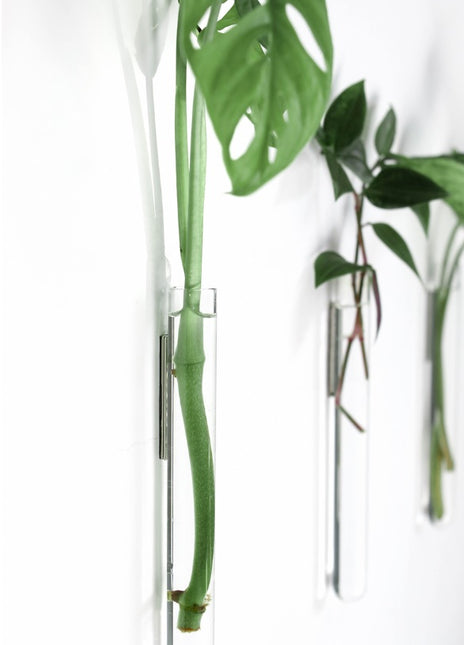 Muurbloempjes - magneet muurvaasje helder glas 6 ST