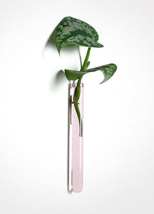 muurbloempjes muurvaasje magneet reageerbuis roze glas