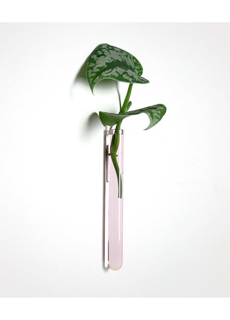 muurbloempjes muurvaasje magneet reageerbuis roze glas