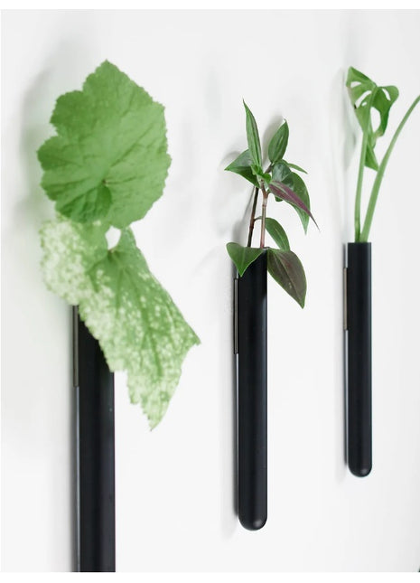 muurbloempjes muurvaasje reageerbuis magneet zwart glas