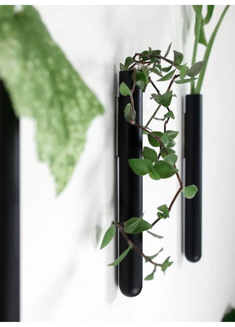 muurbloempjes muurvaasje reageerbuis magneet zwart glas