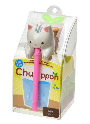 Noted Chuppon kat pepermunt