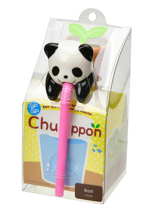 Noted Chuppon panda zoete basilicum