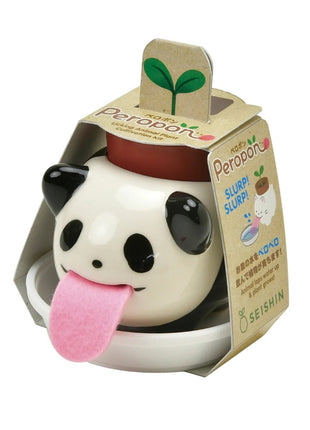 Noted Peropons kweekset panda basilicum