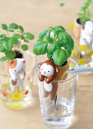 Noted Shippon kat wilde aardbei kweekset