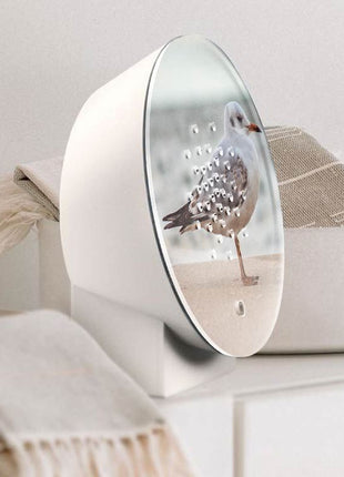 Relaxound Oceanbox Limited Edition Baltic Seagull