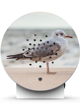 Relaxound Oceanbox Limited Edition Baltic Seagull