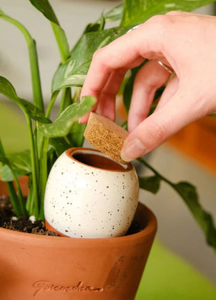 Pepin Olla korrelig wit hydraterende kegel
