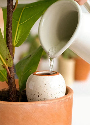 Pepin Olla korrelig wit hydraterende kegel