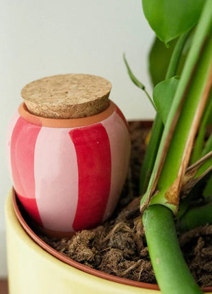Pepin Olla hydraterende kegel roze rood gestreept