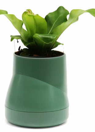 Qualy Hill plantenpot / kruidenpot L groen