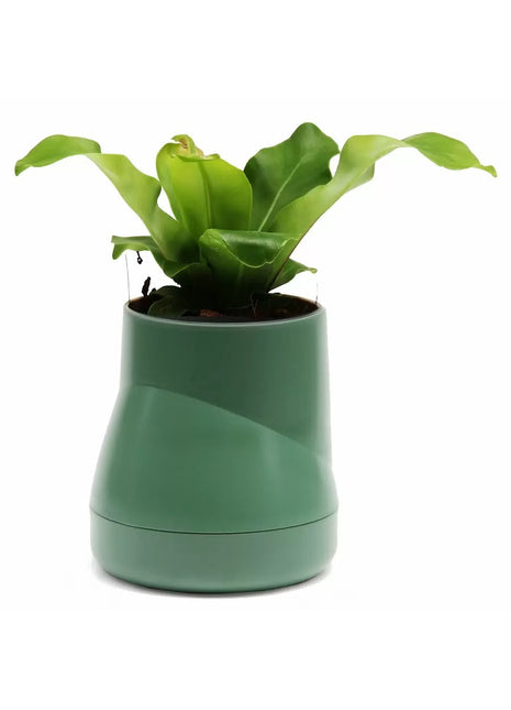 Qualy Hill plantenpot / kruidenpot L groen