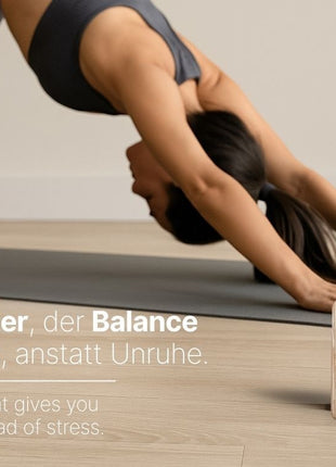 Relaxound Birdytimer / kookwekker classic wit