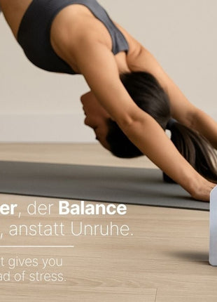 Relaxound Birdytimer / kookwekker RVS staal