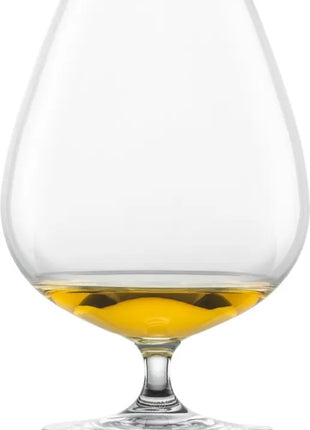 Schott Zwiesel Bar Special Cognac glas XXL 45 - set 4 stuks