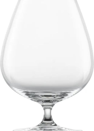 Schott Zwiesel Bar Special Cognac glas XXL 45 - set 4 stuks
