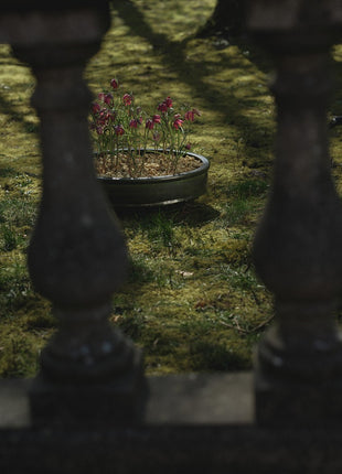 B5625008-504 Serax Planter schaal 02 L Dark Green Dune