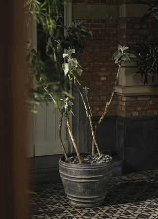 B5625003-900 Serax Pot Planter 01 L Zwart Mesa