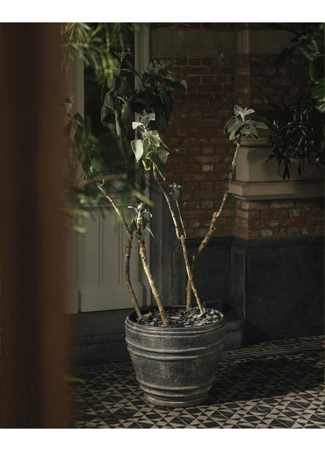 B5625003-900 Serax Pot Planter 01 L Zwart Mesa