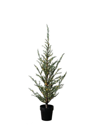 Sirius Milas Cedar boom 100 led, 100 cm