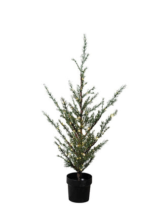 Sirius Milas Cedar boom 150 led, 130 cm