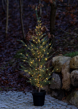 Sirius Milas Cedar boom 150 led, 130 cm