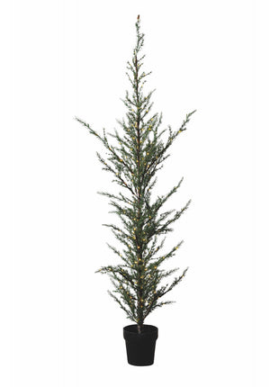 Sirius Milas Cedar boom 180 led, 190 cm