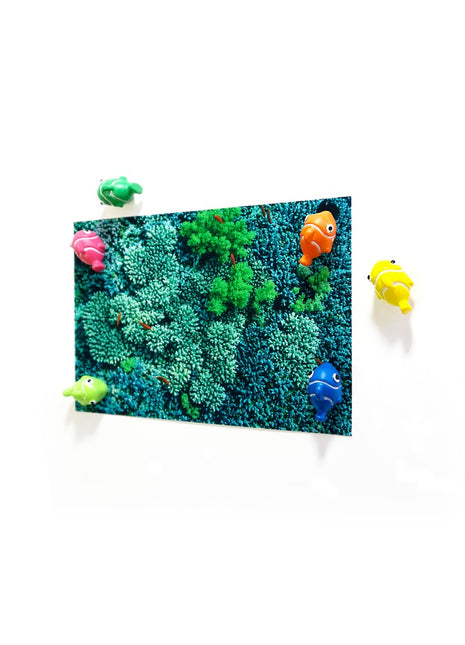 FW3538 Trendform sterke magneten Nemo vissen - 6 stuks