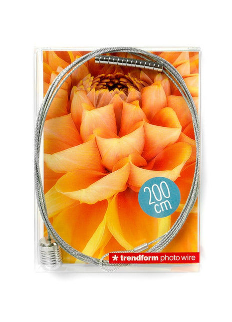 Trendform magneet fotokoord Steely Dan 15 magneten 200cm