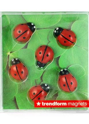 FW3536 Trendform Ladybug sterke magneten lieveheersbeestje