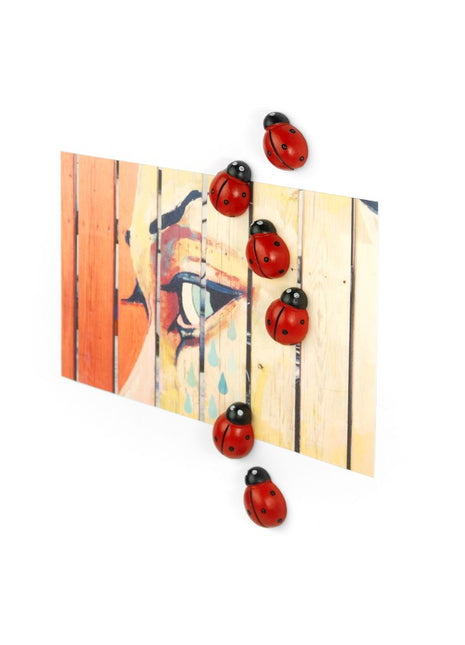 FW3536 Trendform Ladybug sterke magneten lieveheersbeestje