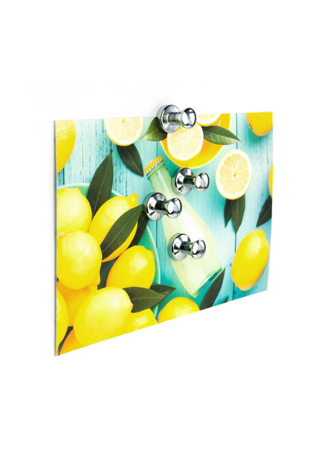 MM2021 Trendform - magneten - mini max zeer sterk