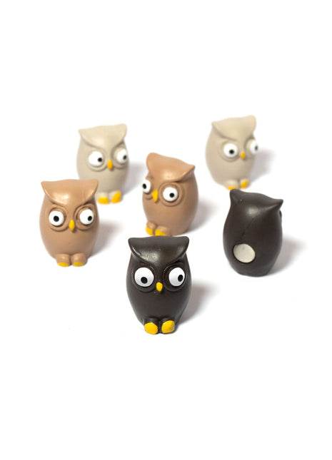 FW3542 Trendform magneten uil voor magneetbord